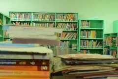 Grade-School-Library